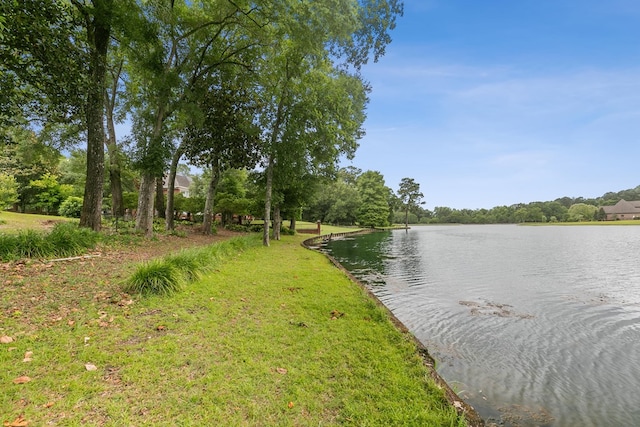 109 Royal Highlands Ln, Dothan, AL 36305 - water view