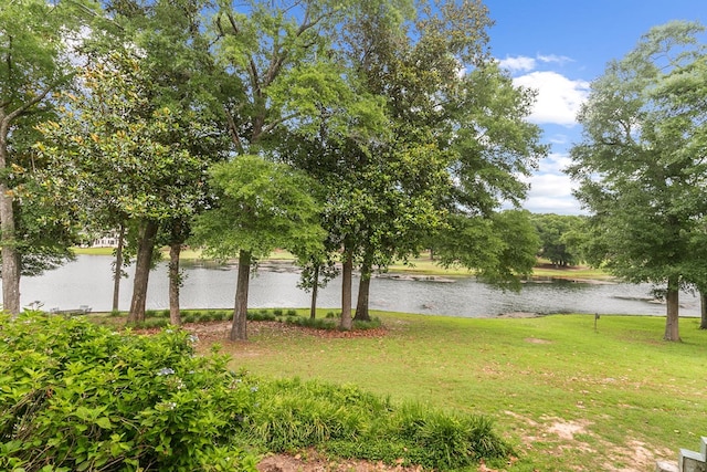 109 Royal Highlands Ln, Dothan, AL 36305 - water view