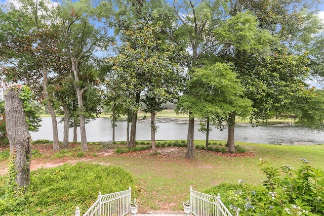 109 Royal Highlands Ln, Dothan, AL 36305 - view of yard featuring a water view