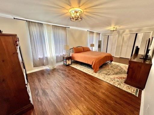 601 6th Ave, Ashford, AL 36312 - bedroom featuring wood finished floors and two closets