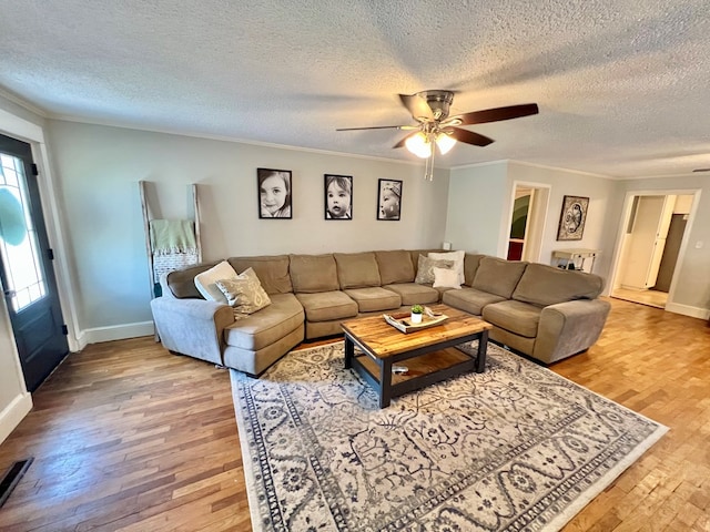 601 6th Ave, Ashford, AL 36312 - living area with light wood finished floors, crown molding, ceiling fan, and a textured ceiling