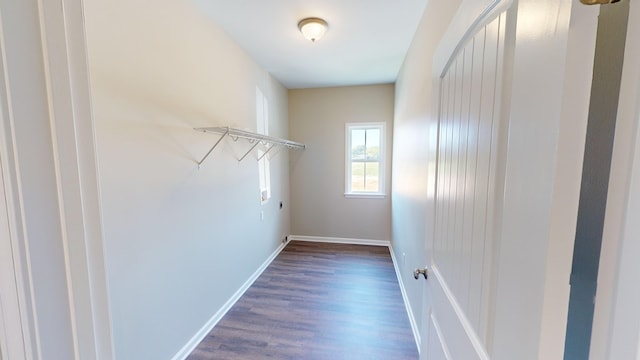 walk in closet with dark hardwood / wood-style floors