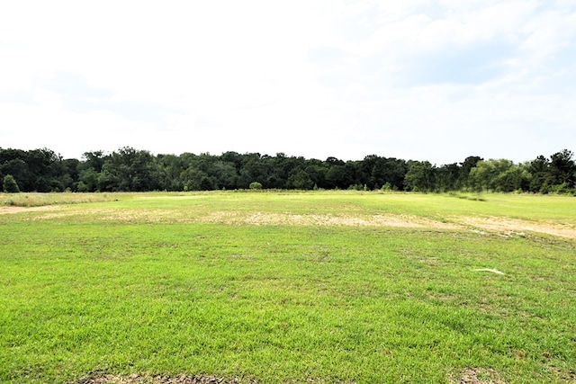 5120 Judge Logue Rd, Newton, AL 36352 - view of grassy yard with a view of rural / pastoral area
