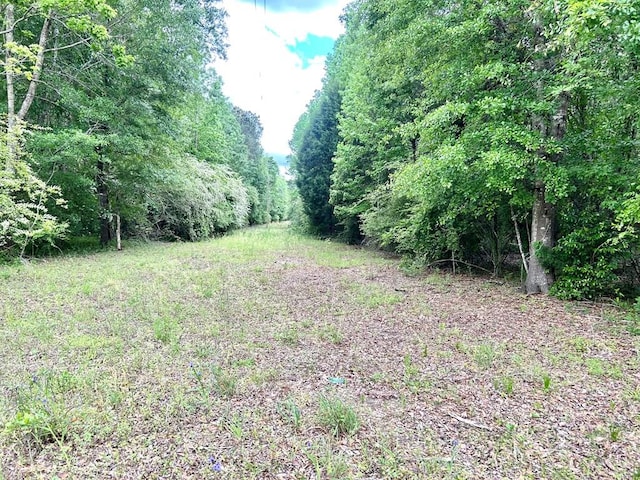 753 NW Hatton Rd, Dothan AL, 36301 land for sale