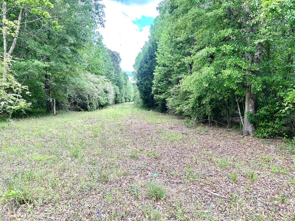 753 NW Hatton Rd, Dothan, AL 36301 - photo 1