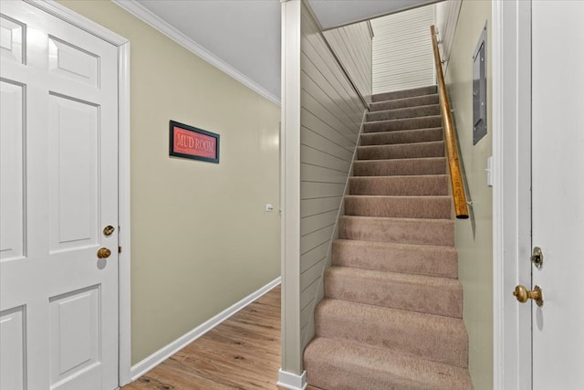 staircase featuring baseboards, crown molding, and wood finished floors