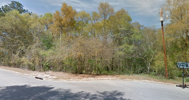 O Peachtree Dr, Dothan, AL 36303 - photo 2