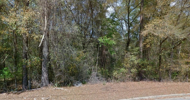 O Peachtree Dr, Dothan, AL 36303 - photo 7