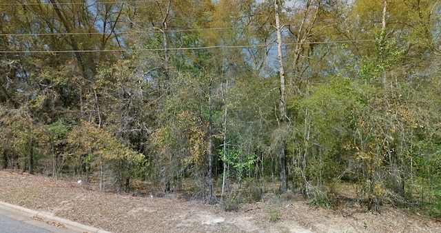 O Peachtree Dr, Dothan, AL 36303 - photo 3