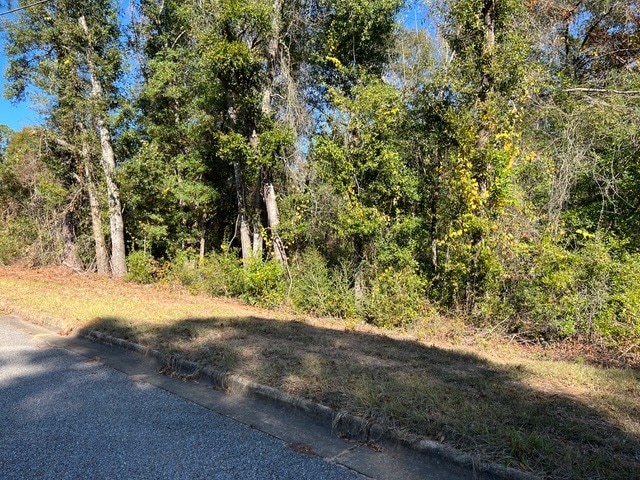 O Peachtree Dr, Dothan, AL 36303 - photo 4