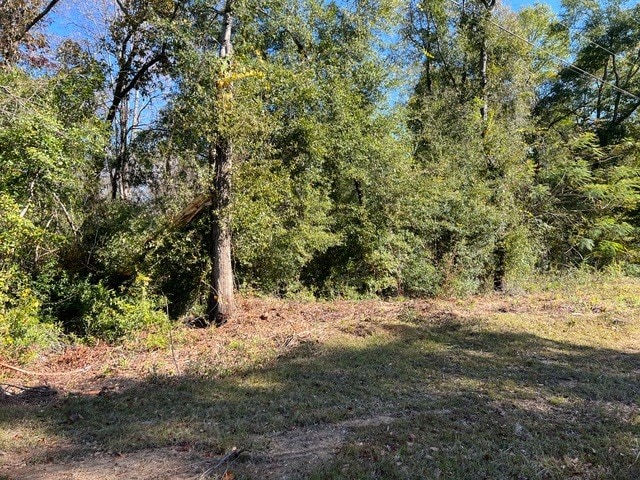 O Peachtree Dr, Dothan, AL 36303 - photo 5