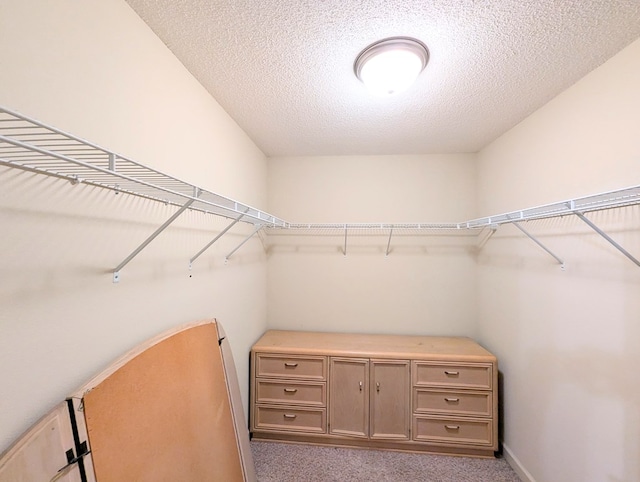 spacious closet with light carpet