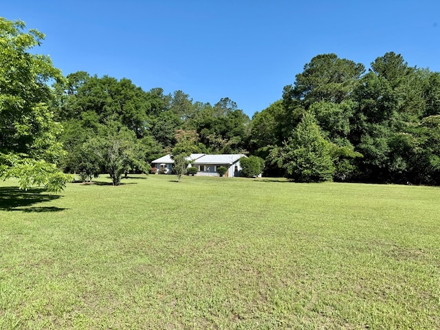 4955 County Road 36, Hartford, AL 36344 - view of grassy yard