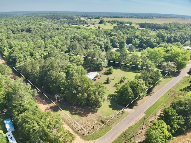 4955 County Road 36, Hartford, AL 36344 - view of property location featuring a forest and property boundaries highlighted