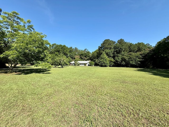 4955 County Road 36, Hartford, AL 36344 - view of green lawn