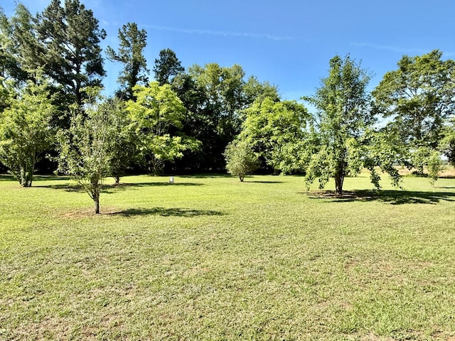 4955 County Road 36, Hartford, AL 36344 - view of grassy yard