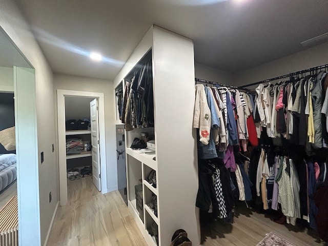 489 Skipper Rd, Malvern, AL 36375 - spacious closet with light wood-style flooring