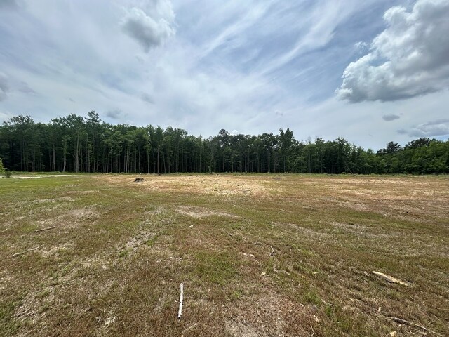 489 Skipper Rd, Malvern, AL 36375 - view of local wilderness featuring a view of trees