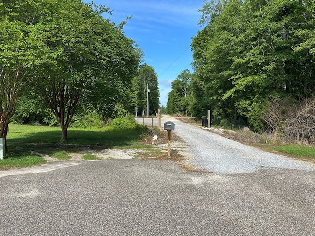 489 Skipper Rd, Malvern, AL 36375 - view of road