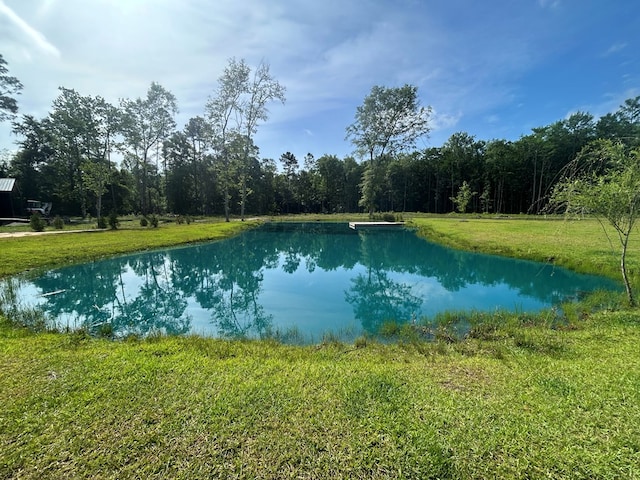 489 Skipper Rd, Malvern, AL 36375 - water view with a view of trees