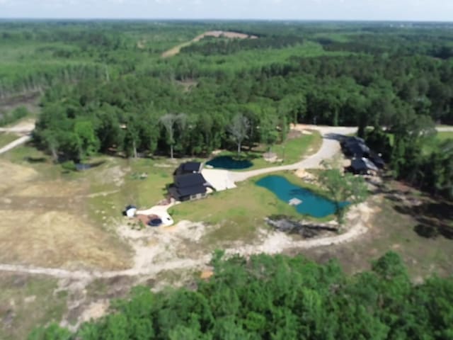489 Skipper Rd, Malvern, AL 36375 - bird's eye view with a water view and a wooded view