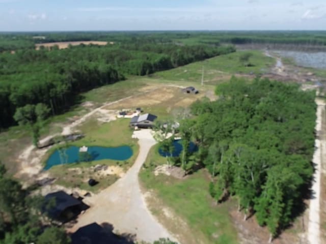 489 Skipper Rd, Malvern, AL 36375 - drone / aerial view with a water view