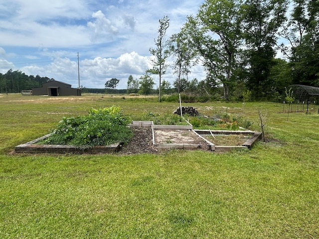 489 Skipper Rd, Malvern, AL 36375 - view of yard with a vegetable garden and a rural view