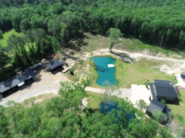 489 Skipper Rd, Malvern, AL 36375 - birds eye view of property featuring a view of trees and a water view