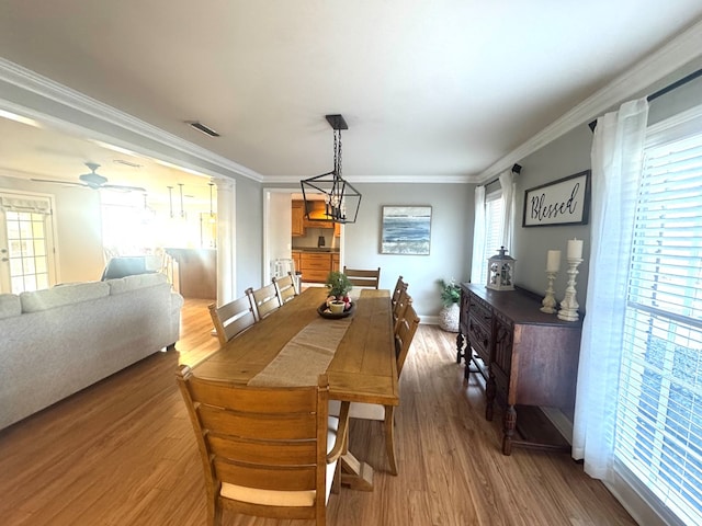 dining room featuring crown molding, a wealth of natural light, and hardwood / wood-style floors