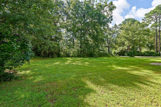 705 Dexter St, Dothan, AL 36301 - photo 4