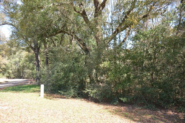 Listing photo 3 for LOT1 Oak Lake Dr, Enterprise AL 36330