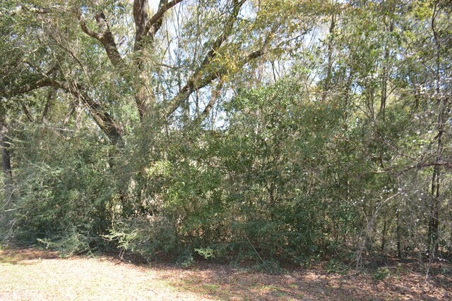 Listing photo 2 for LOT1 Oak Lake Dr, Enterprise AL 36330