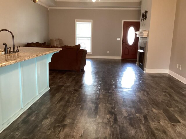 116 Jules Ln, Ashford, AL 36312 - kitchen with ornamental molding, a sink, dark wood-style floors, open floor plan, and baseboards