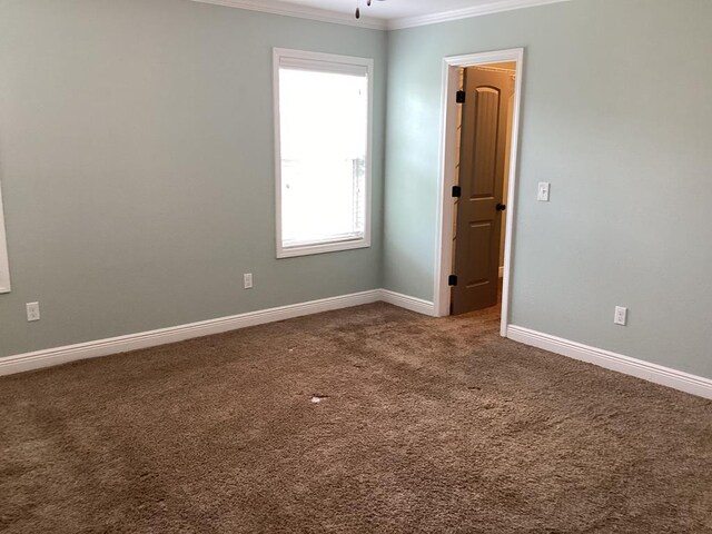 116 Jules Ln, Ashford, AL 36312 - unfurnished room with ornamental molding, carpet, and baseboards