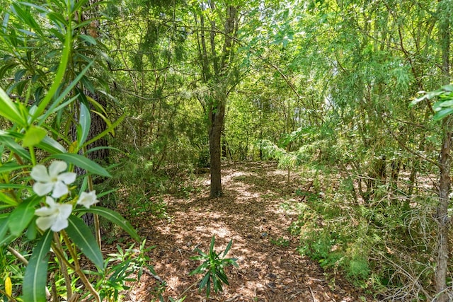 601 Edinburgh Way, Dothan, AL 36305 - view of local wilderness