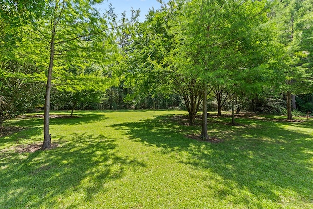 601 Edinburgh Way, Dothan, AL 36305 - view of grassy yard