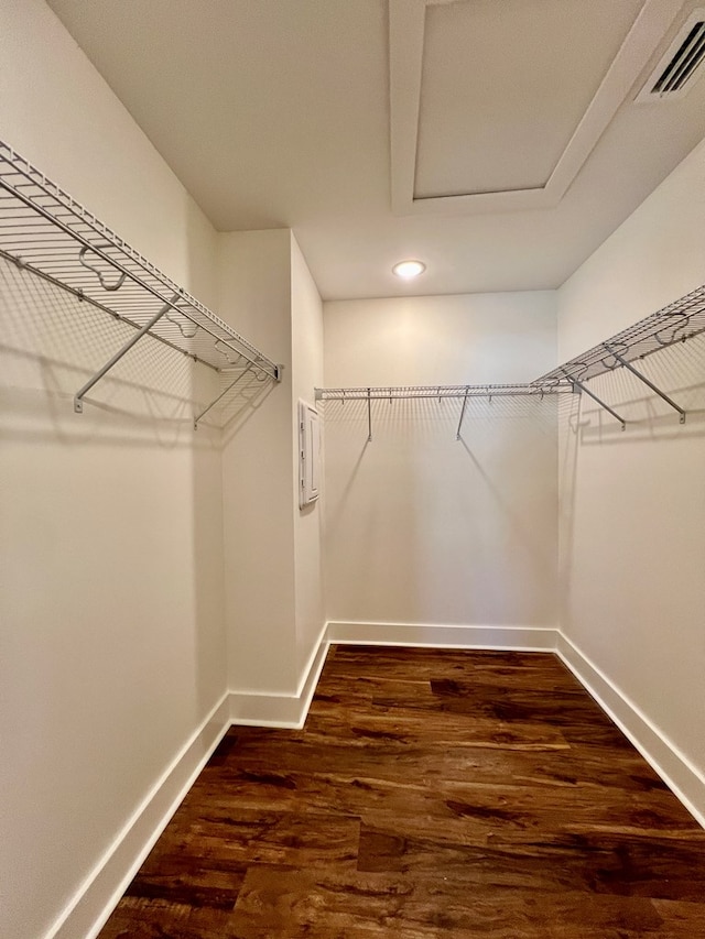 spacious closet featuring dark hardwood / wood-style floors