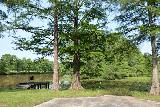27490 Donnie Harrelson Ln, Andalusia, AL 36421 - photo 44