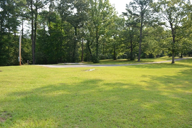 27490 Donnie Harrelson Ln, Andalusia, AL 36421 - photo 71