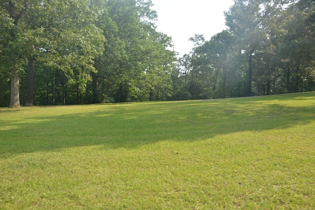 27490 Donnie Harrelson Ln, Andalusia, AL 36421 - photo 69