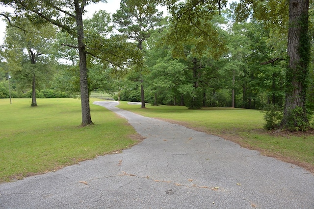 27490 Donnie Harrelson Ln, Andalusia, AL 36421 - photo 62
