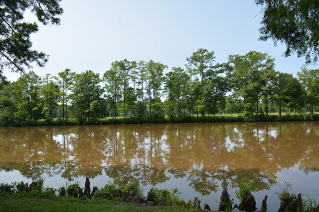 27490 Donnie Harrelson Ln, Andalusia, AL 36421 - photo 42