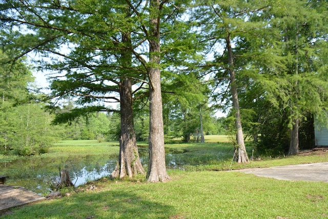 27490 Donnie Harrelson Ln, Andalusia, AL 36421 - photo 43