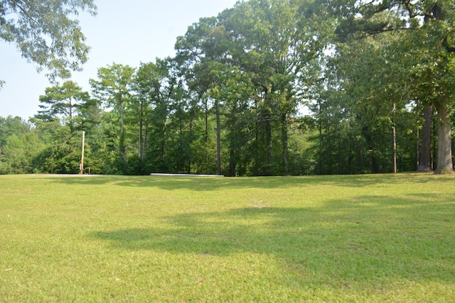 27490 Donnie Harrelson Ln, Andalusia, AL 36421 - photo 70