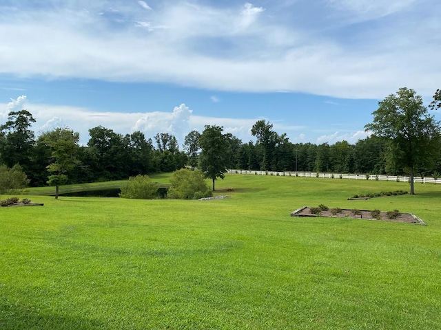 view of community with a yard