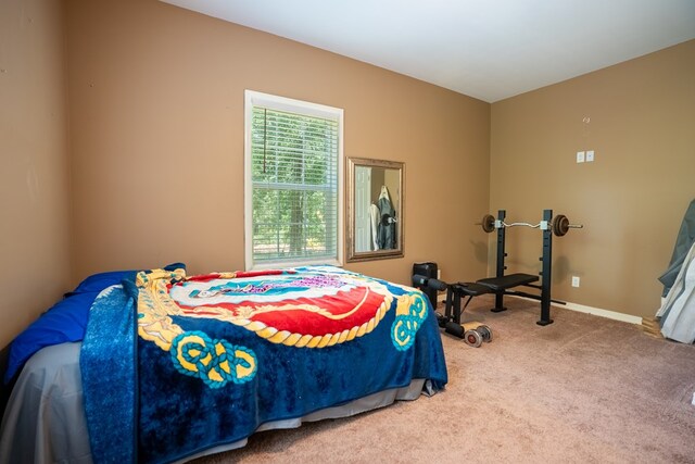 195 Springhill Rd, Dothan, AL 36301 - photo 88