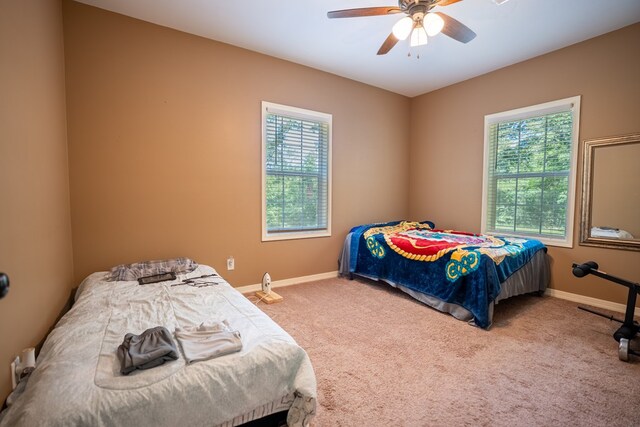 195 Springhill Rd, Dothan, AL 36301 - photo 87