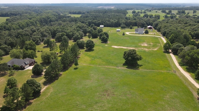 654 County Rd 21, Headland, AL 36345 - photo 53