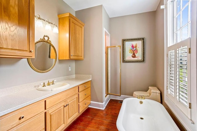 bathroom featuring hardwood / wood-style floors, vanity, and a shower with door