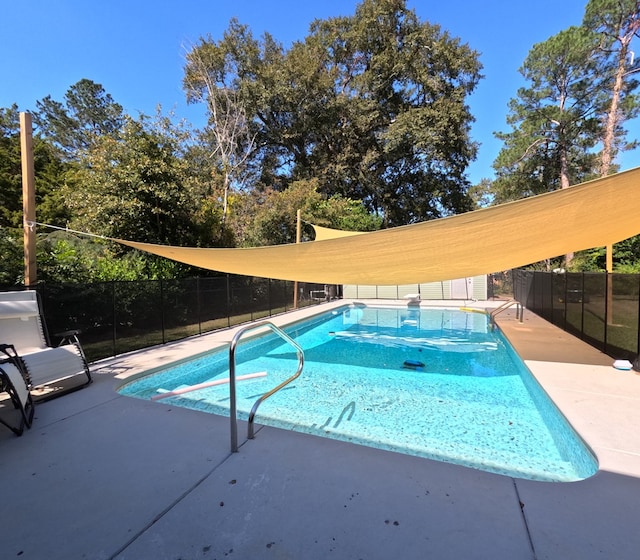 view of pool with a patio